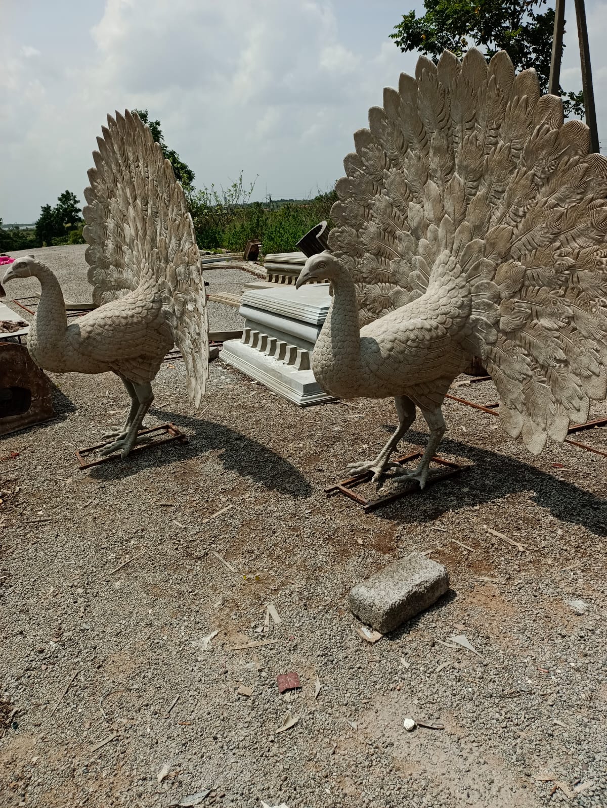 FRP Statue - Peacocks